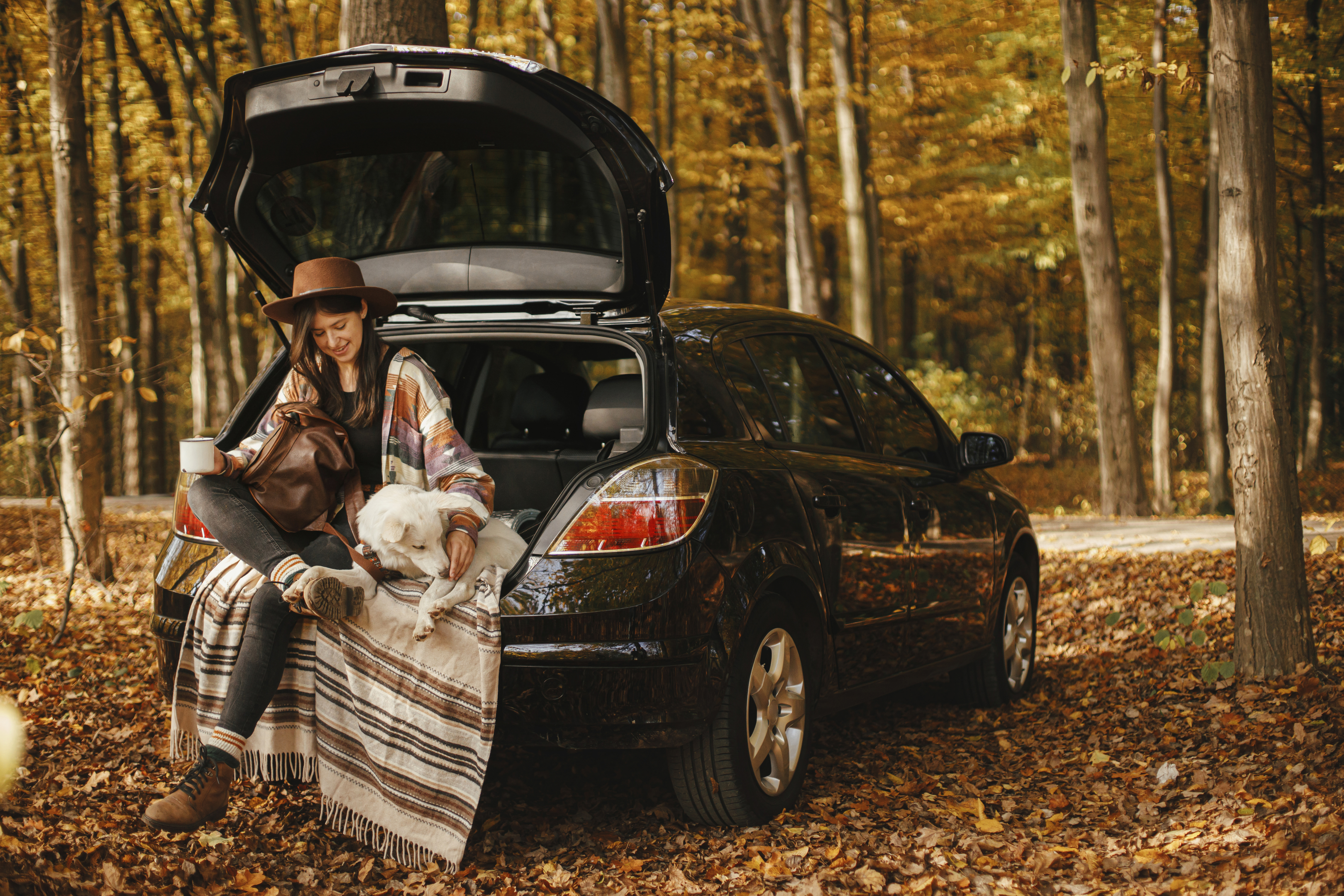 5 Tips to Save on Vehicle Costs